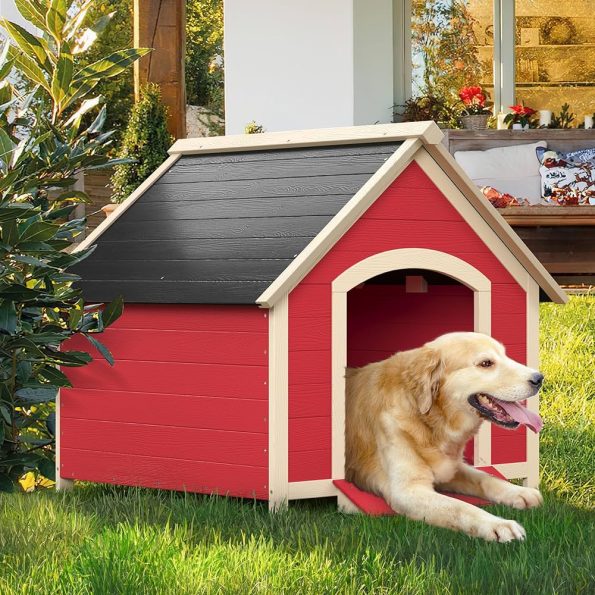 Choosing the Right Pet House for Your Labrador Retriever: A Comprehensive Guide