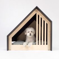 Crafting the Ideal Pet House for Bulldogs: Creating a Comfortable Haven